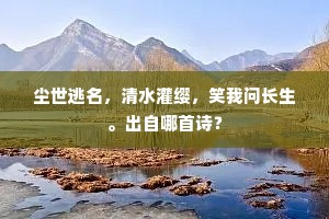 金衔细毂萦回岸，戍笛牛歌远近陂。的解释