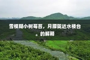 叵耐一双穷相眼，不堪花卉在前头。的释义