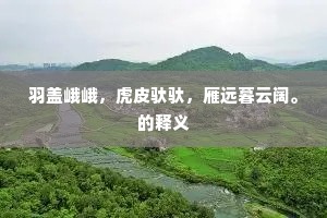 明月自来还自去，更无人倚玉栏干。的释义