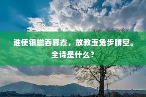 看取老僧齐物意，一般抛掷等凡花。的解释