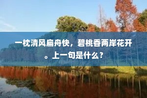 残军败将成语的解释