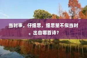 惭愧二年青翠色，惹窗黏枕伴吟诗。下一句是什么？