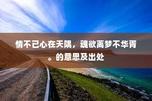 秋风凛凛月依依，飞过高梧影里时。全诗是什么？