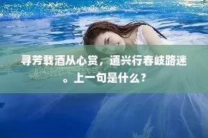 思量却得蹉跎力，会尽人间一肚皮。出自哪首诗？