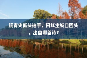 上下一行如骨肉，几人身死掩风沙。全诗是什么？