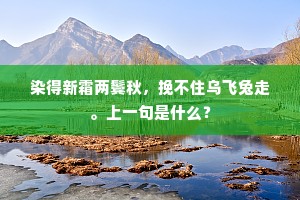 谄上抑下成语的释义