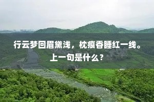 羽衣零落帽欹斜，不自孤峰即海沙。上一句是什么？