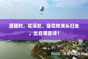 此日相逢魂合断，赖君身事渐飞冲。的意思及出处
