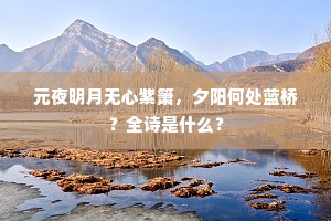 休向中兴雪至冤，钱塘江上看涛翻。的意思及出处