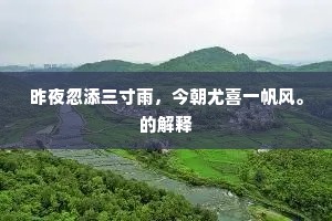 醴泉涌处休论水，黄菊开时独是花。上一句是什么？
