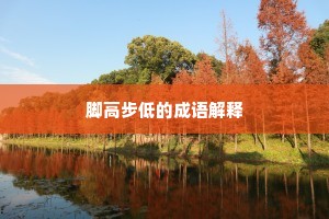 脚高步低的成语解释