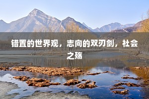 错置的世界观，志向的双刃剑，社会之殇