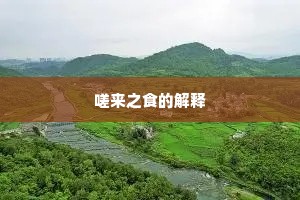 朝斯夕斯成语的拼音