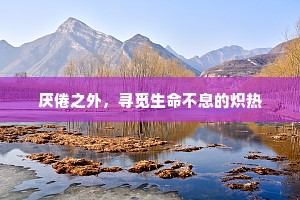 潮鸣电挚成语的释义