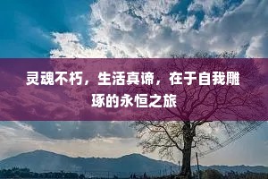 灵魂不朽，生活真谛，在于自我雕琢的永恒之旅