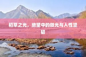 稻草之光，绝望中的微光与人性坚韧