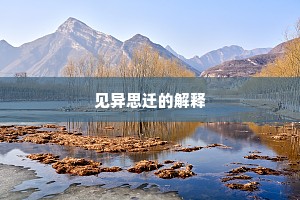 见异思迁的解释