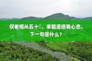 有人曾见洞中仙，才到人间便越年。全诗是什么？
