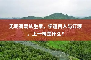 谁到月明朝礼处，翠岩深锁荔枝烟。的意思及出处