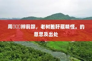 却搜文学起吾唐，暂失都城亦未妨。的意思及出处