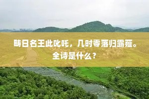 来时走马随中使，到日援毫定外方。下一句是什么？