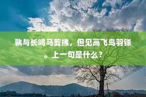 赋家达者无过此，翰苑今朝是独游。全诗是什么？