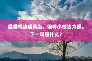 如何两度还州里，兼借乡人更剩观。的意思及出处