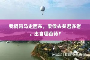 无人不爱今年闰，月看中秋两度圆。出自哪首诗？