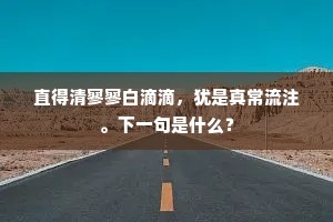 城上风生蜡炬寒，锦帷开处露翔鸾。上一句是什么？