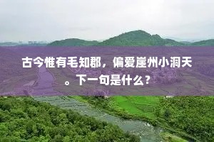 拜首敢将诚吐血，蜕形唯待诺如金。的解释