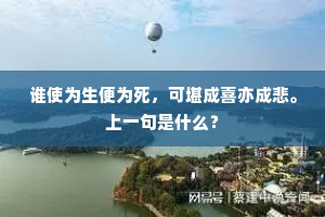 春色来年谁是主，不堪憔悴更无成。的解释