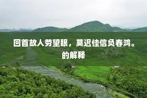 势似孤峰一片成，坐来疑有白云生。的意思及出处