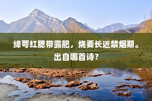 春来游子傍归路，时有白云遮独行。的释义