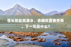 乘隙捣虚成语的释义