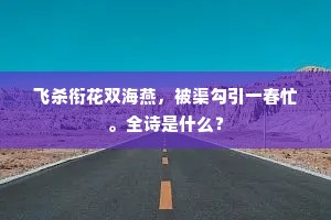 乘虚蹈隙成语的拼音