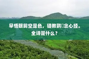 时闻寒雁声相唤，纱窗只有灯相伴。的解释