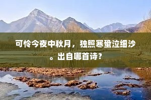 书中不尽心中事，一片殷勤寄边使。的意思及出处