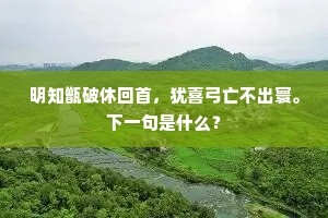 细草铺茵绿满堤，燕飞晴日正迟迟。全诗是什么？