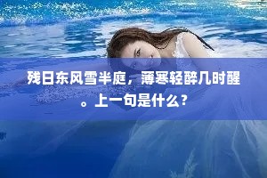 四溟水合疑无地，八月槎通好上天。上一句是什么？