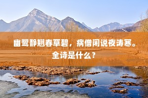 郊外淩兢西复东，雪晴驴背兴无穷。全诗是什么？