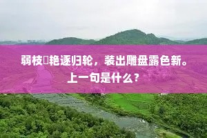人间万卷庞眉老，眼见堂堂入草莱。的释义