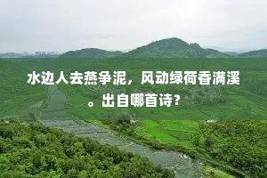 紫云团影电飞瞳，骏骨龙媒自不同。的释义