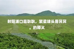 惟思待月高梧下，更就东床访惠休。的意思及出处