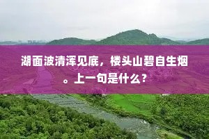梅向好风惟是笑，柳因微雨不胜垂。出自哪首诗？