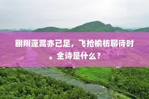 高楼瞪目归鸿远，如信嵇康欲画难。的意思及出处