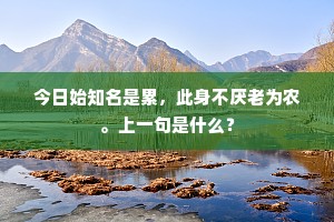 何缘春恨贮离忧，欲入空门万事休。的释义