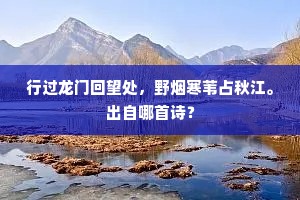 酒中弹剑发清歌，白发年来为愁变。出自哪首诗？