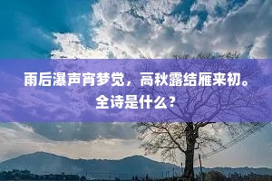 朱雀街东半夜惊，楚魂湘梦两徒清。的意思及出处