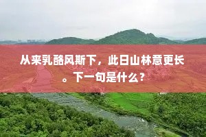 日日悲伤未有图，懒将心事话凡夫。上一句是什么？