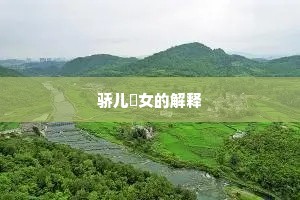 骄儿騃女的解释
